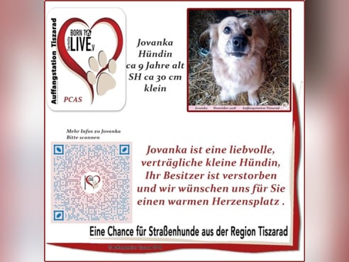 Inseratsbild
