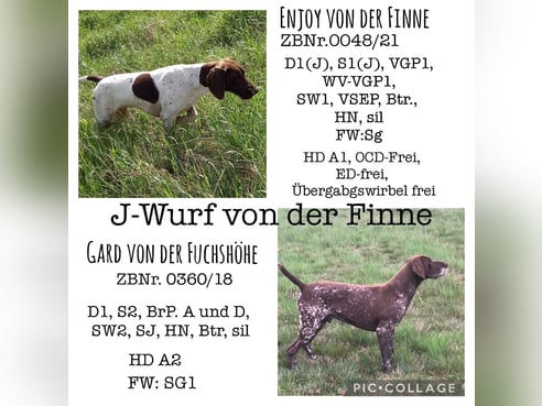 Inseratsbild