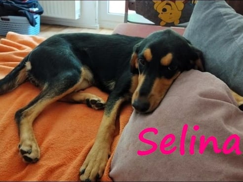 Inseratsbild