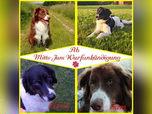 Inseratsbild