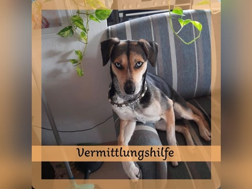 Inseratsbild