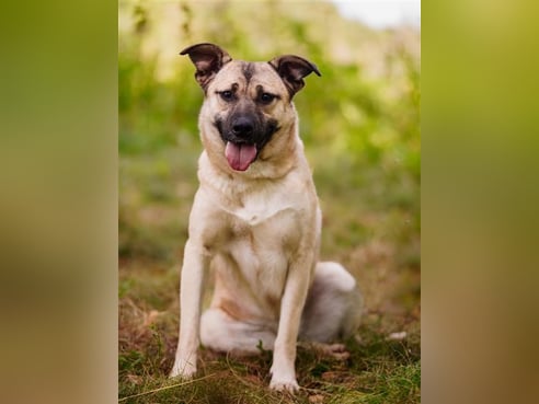 Inseratsbild