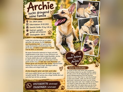 Inseratsbild