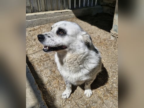 Inseratsbild