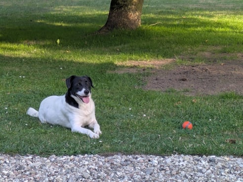 Inseratsbild