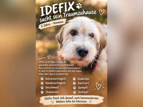 Inseratsbild