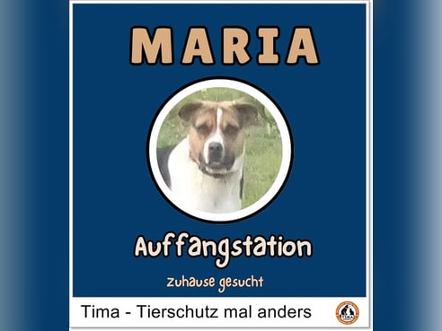 Inseratsbild