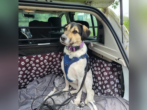 Inseratsbild