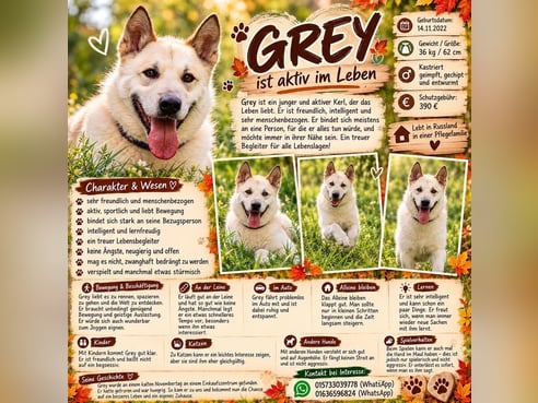 Inseratsbild