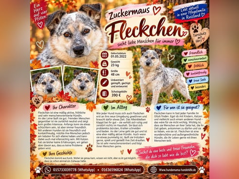 Inseratsbild