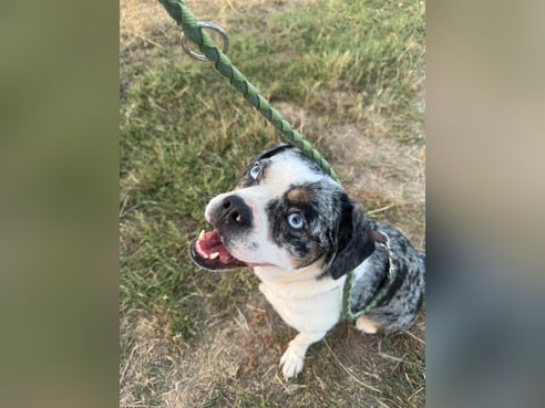 Inseratsbild