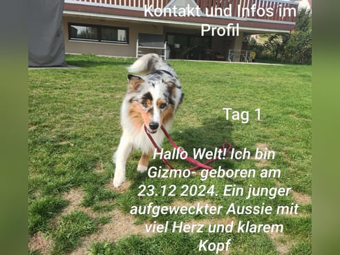 Inseratsbild