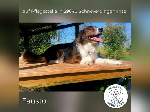Inseratsbild