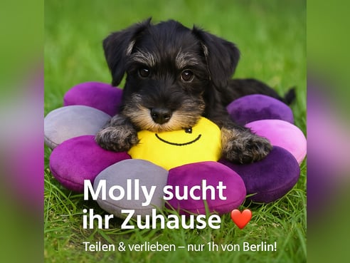 Inseratsbild