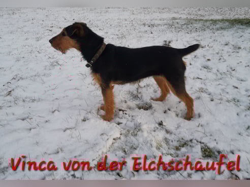 Inseratsbild