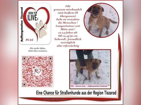 Inseratsbild