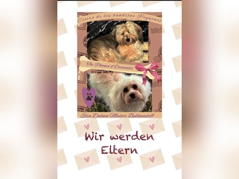 Inseratsbild