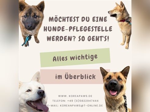 Inseratsbild