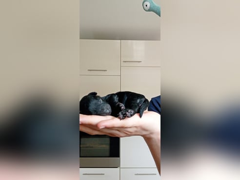 Inseratsbild