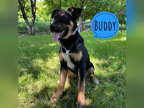 Inseratsbild