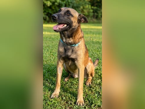 Inseratsbild