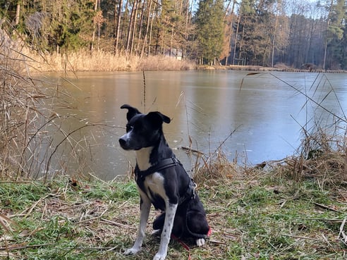 Inseratsbild