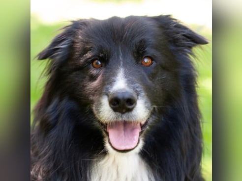 Inseratsbild