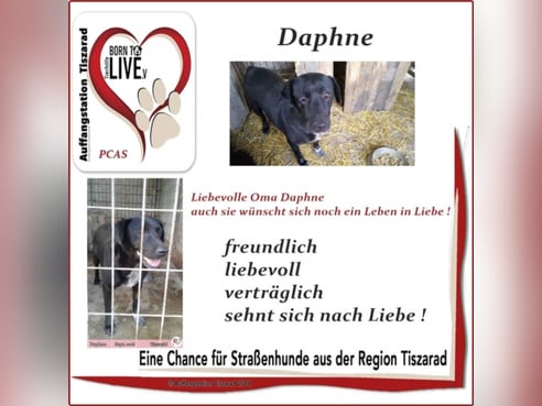 Inseratsbild