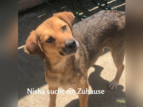 Inseratsbild