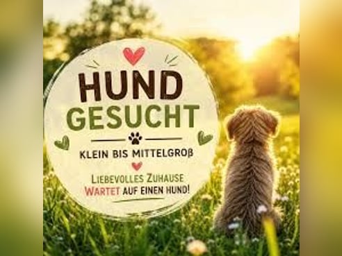 Inseratsbild