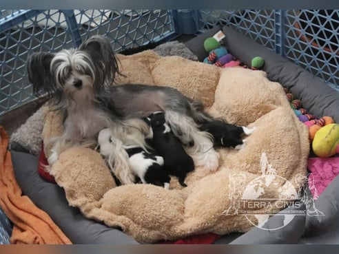 Inseratsbild