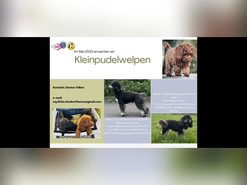 Inseratsbild