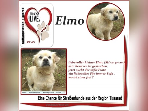 Inseratsbild