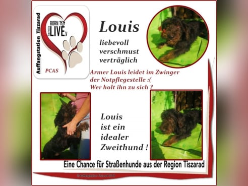 Inseratsbild