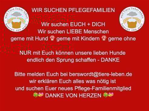 Inseratsbild