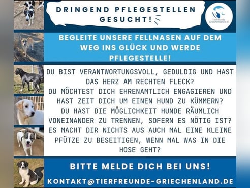Inseratsbild