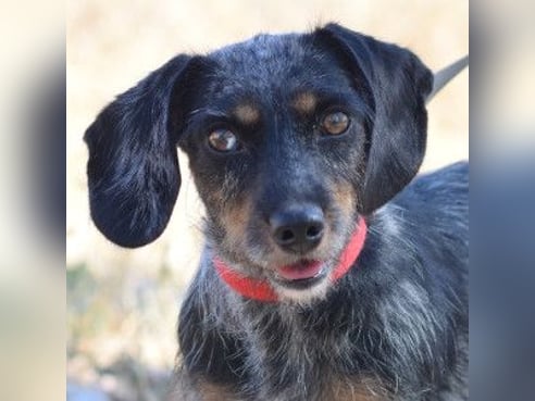 Inseratsbild
