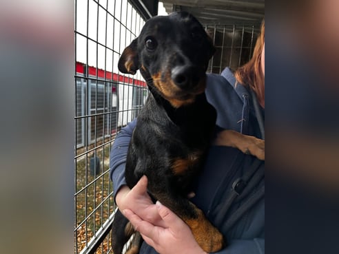 Inseratsbild