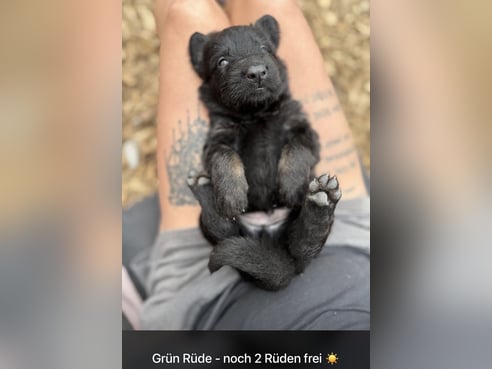 Inseratsbild