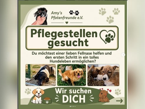 Inseratsbild