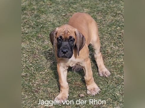 Inseratsbild