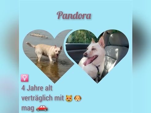 Inseratsbild