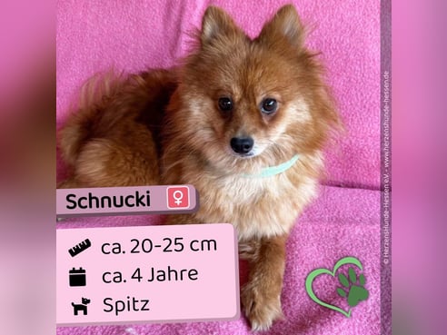Inseratsbild