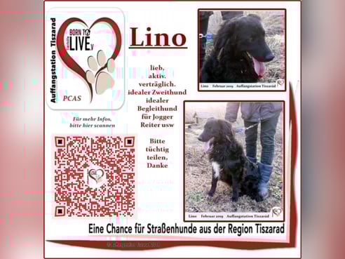 Inseratsbild