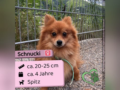 Inseratsbild