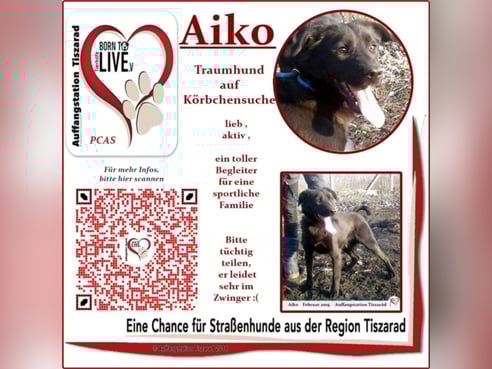 Inseratsbild