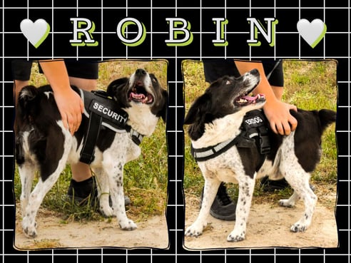 Inseratsbild