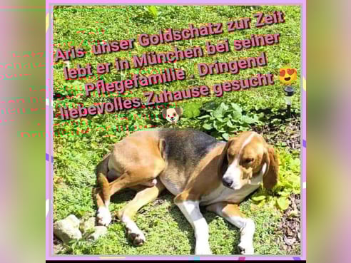 Inseratsbild