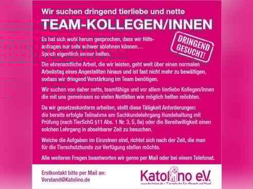 Inseratsbild