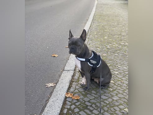 Inseratsbild